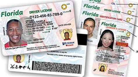 collier county hack license requirements Reader