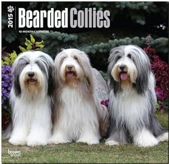 collies 2015 square 12x12 multilingual edition PDF