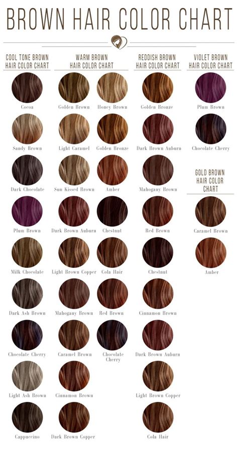 color chart what are cool brown hair colors