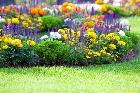 color in garden design Reader