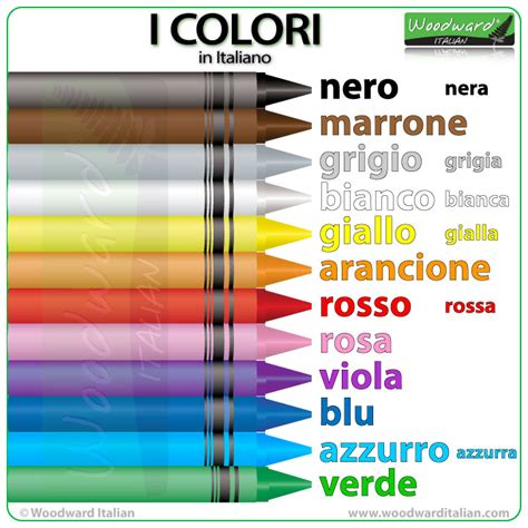 color italian phrases little activity PDF
