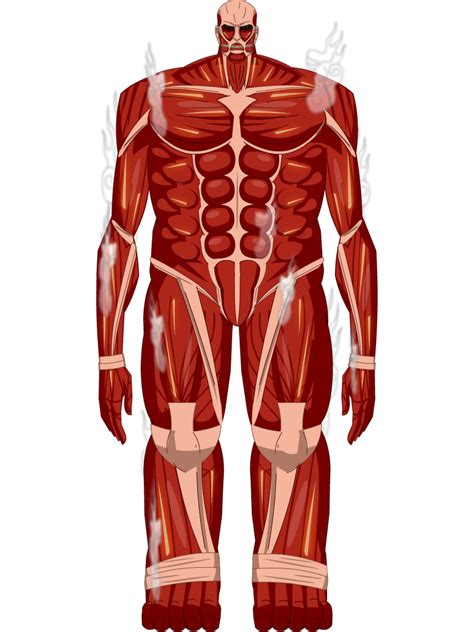 colossal titan full body