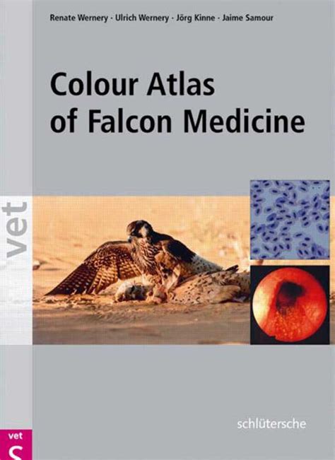 colour atlas of falcon medicine colour atlas of falcon medicine Epub