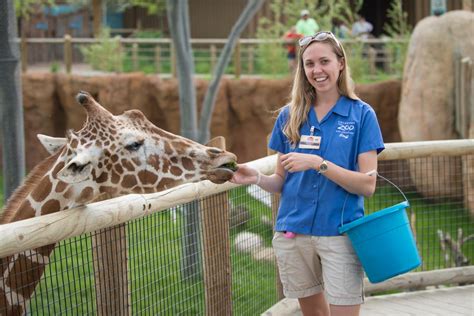 columbus zoo positions