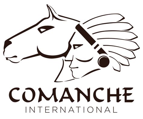 comanche hotel software manual Kindle Editon