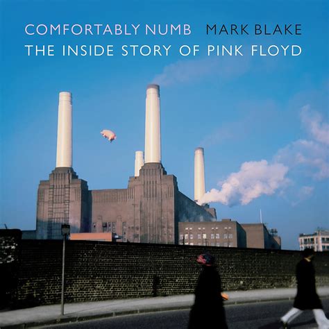 comfortably numb the inside story of pink floyd Reader