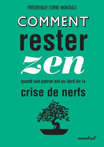 comment rester zen face crise ebook Epub