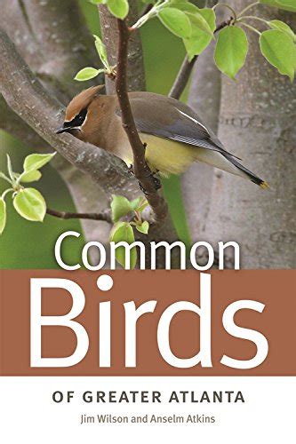 common birds of greater atlanta wormsloe foundation nature book ser Doc