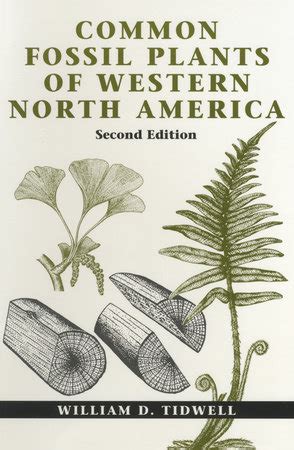 common fossil plants of western north america PDF