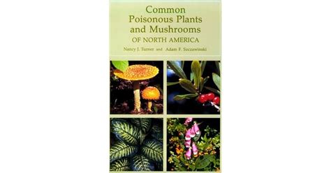 common poisonous plants and mushrooms of north america Doc