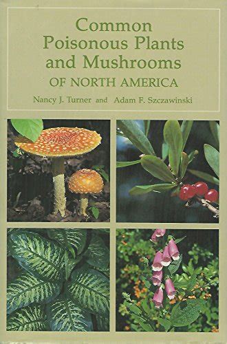 common poisonous plants and mushrooms of north america Doc