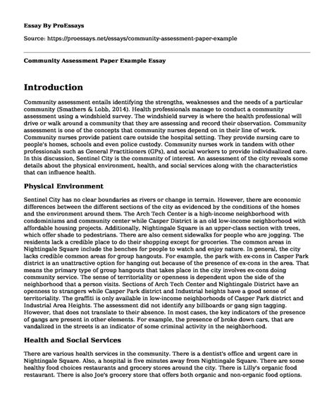 community analysis paper example Doc