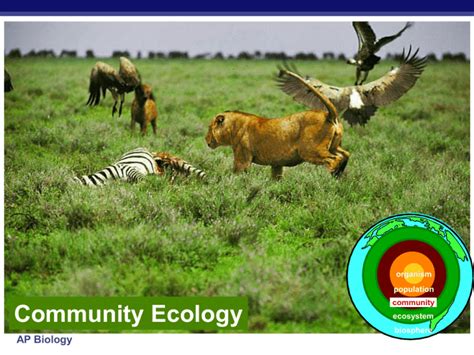 community ecology ap bio Kindle Editon