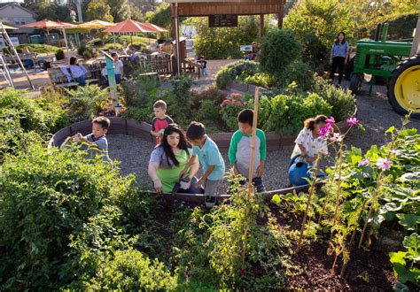 community programs for children PDF