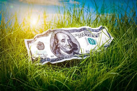 como cambiar green grass a dolares