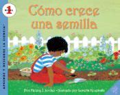 como crece una semillahow a seed grows Doc