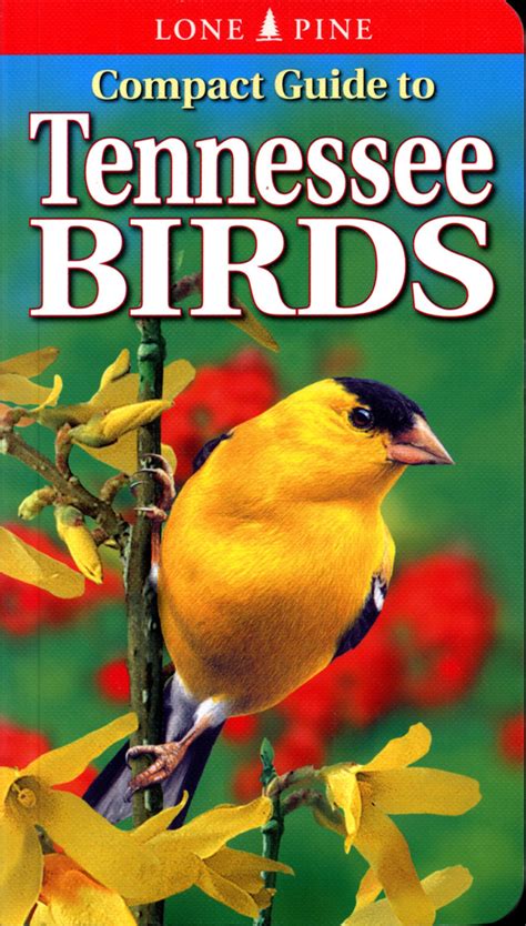 compact guide to tennessee birds PDF