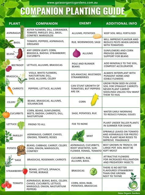 companion plants for vegetables herbs and flowers pdf Epub