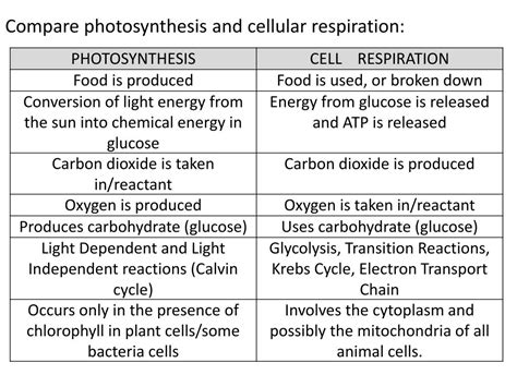 compare and contrast photosynthesis and cellular respiration Epub