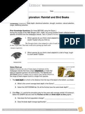 comparing adaptations birds answer key PDF