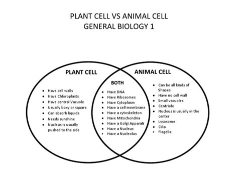 comparing plant and animal cells venn diagram Doc