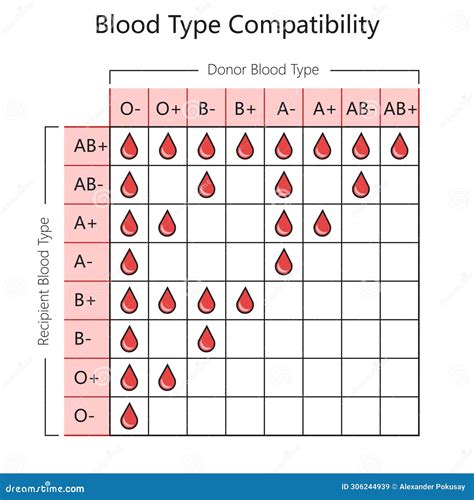 Compatible Blood Types Chart