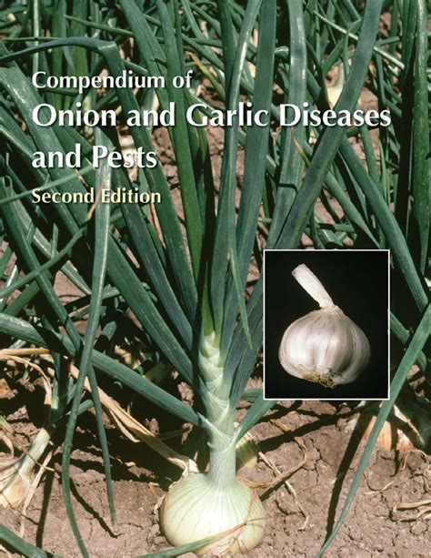 compendium of onion and garlic diseases and pests 2nd edition Kindle Editon