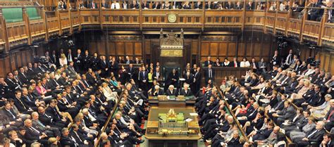 competency parliaments britain incorporate legislatures Epub
