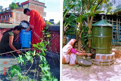 compost bin india