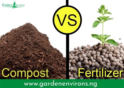 compost versus fertilizer