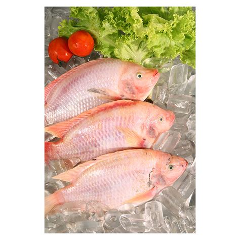 comprar tilapia