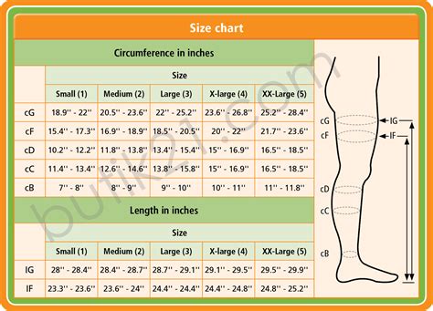 compression stocking size chart