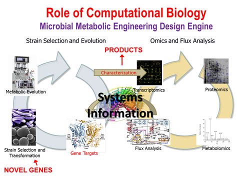 computational molecular biology computational molecular biology Doc