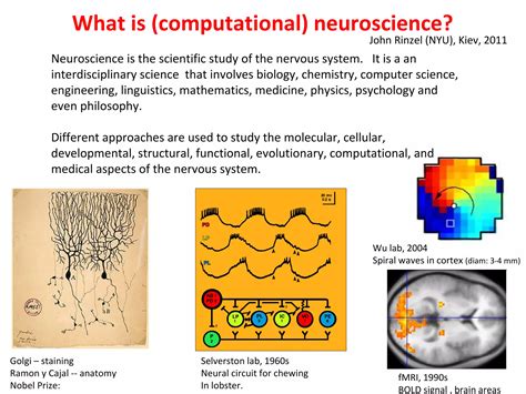 computational neuroscience computational neuroscience Doc