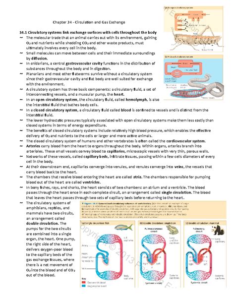 concept chapter 34 mapping circulation in humans Doc