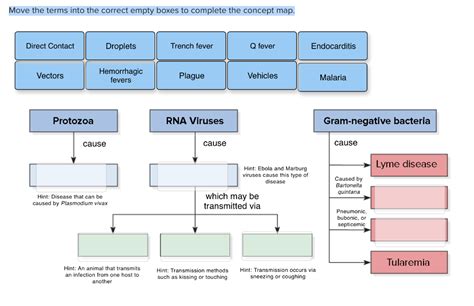 concept map bacteria and viruses PDF