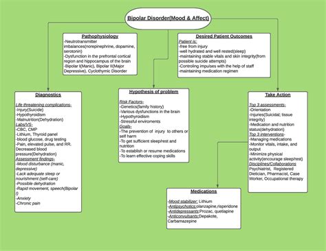 concept map for mood disorder Kindle Editon