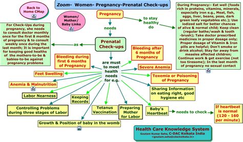 concept map for pregnancy PDF