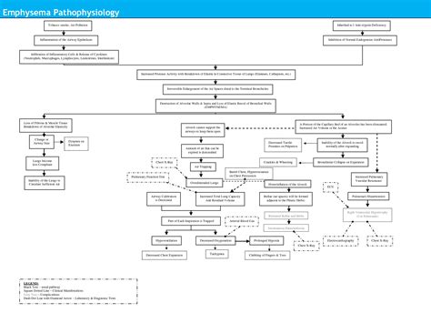 concept map of emphysema Doc