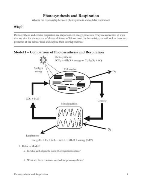 concept review photosynthesis and respiration answers key Ebook Reader