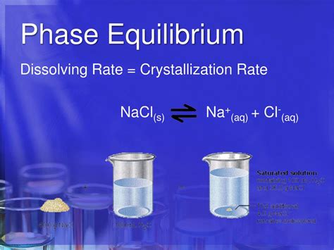 concept review section phase equilibrium Reader