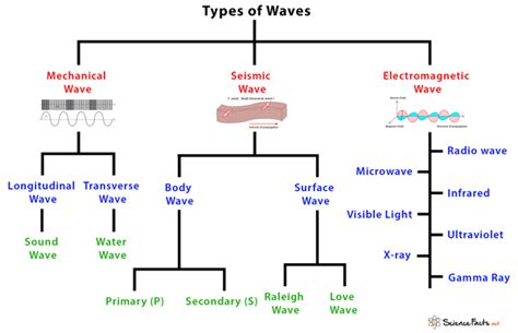concept review types of waves Kindle Editon