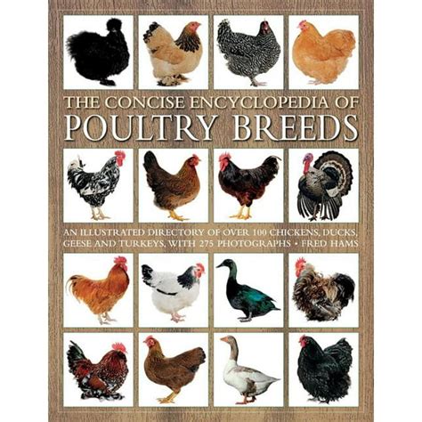 concise encyclopedia poultry breeds illustrated Kindle Editon