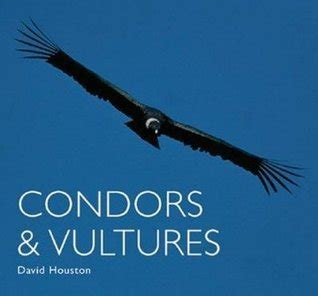 condors and vultures worldlife library Epub