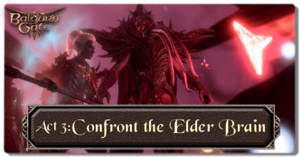 Confront The Elder Brain Walkthrough