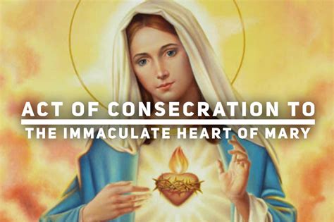 consecration to the immaculate heart of mary Reader