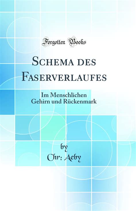 considerations flechsigs gehirn classic reprint Reader