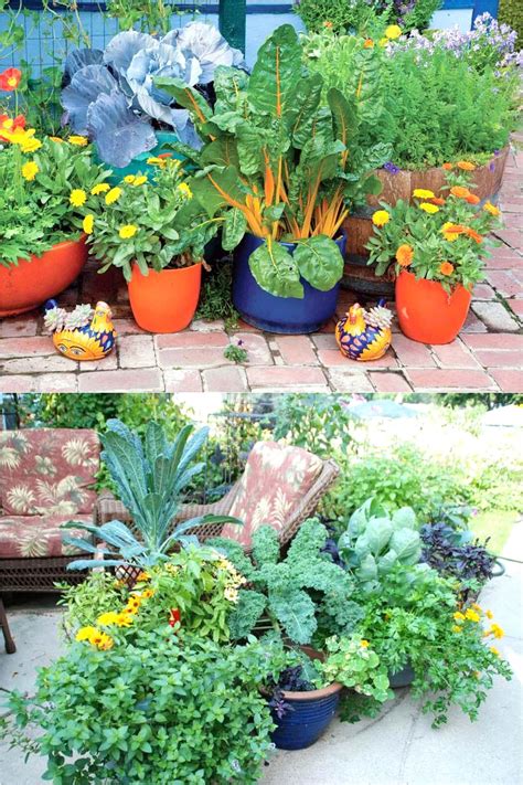 container gardening containers vegetables homesteading Epub