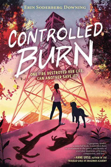 control burn resist books 4 6 submission series book two Doc