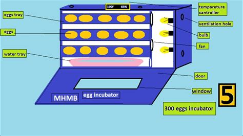 control system diagram of incubation Reader